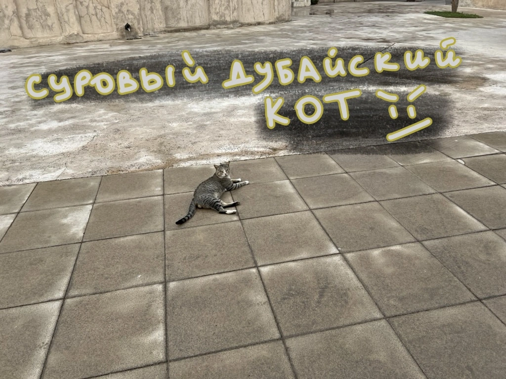 Старый Дубай 8